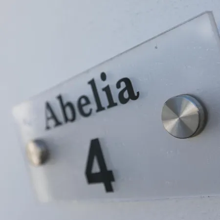 Abelia St Ives (Cornwall)