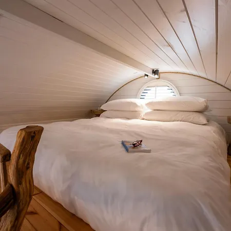 Pod - Luxury Glamping *