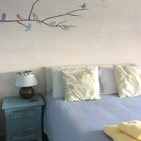 Homestay Taranaki *