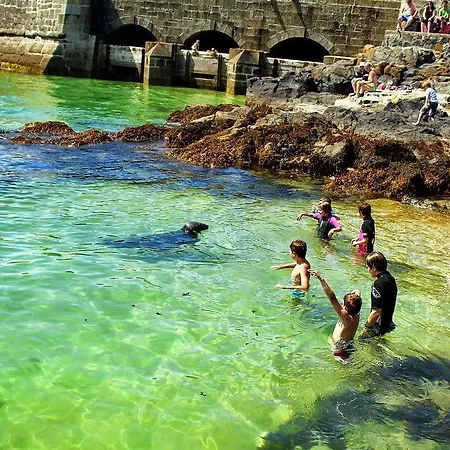 Homestay Taranaki St Ives (Cornwall)