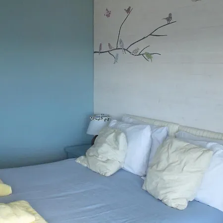 Homestay Taranaki