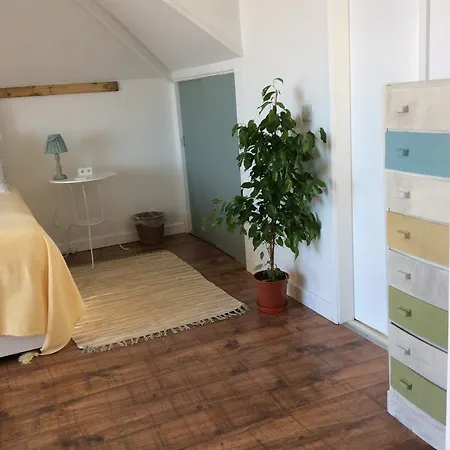 Taranaki Homestay *