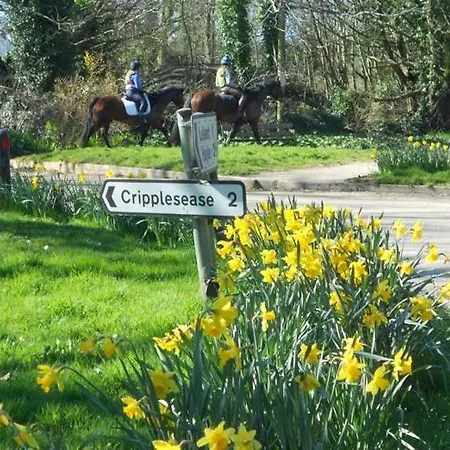 Bed & Breakfast Coombe Farmhouse