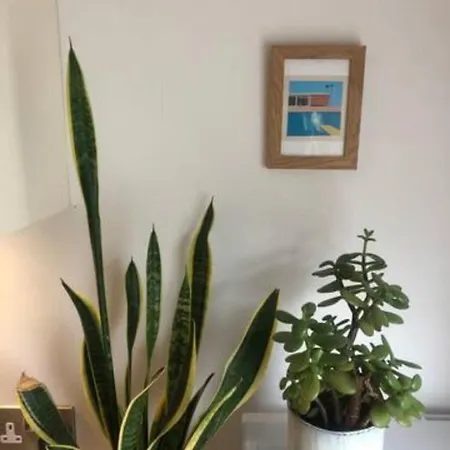 Immaculate 2-bed Loft 2 Min From St Ives (Cornwall)