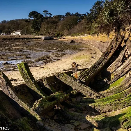 Halwell 4* St Ives (Cornwall)
