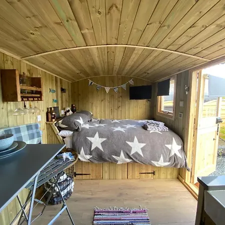 Stargazy Shepherds Hut *