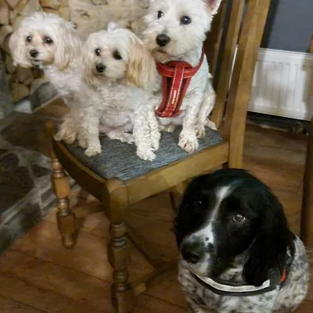 Bed & Breakfast The Balnoon