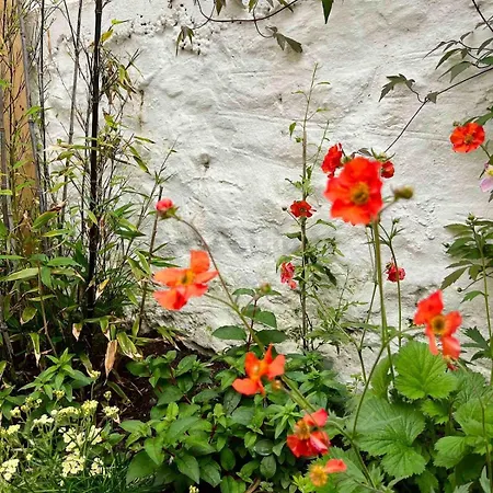 Old Bookshop - Unique House In With Outdoor Space Holiday home St Ives (Cornwall)