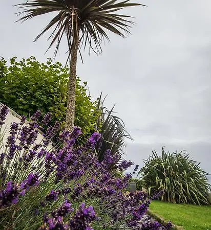 Guest house Atlantic Heights St Ives (Cornwall)