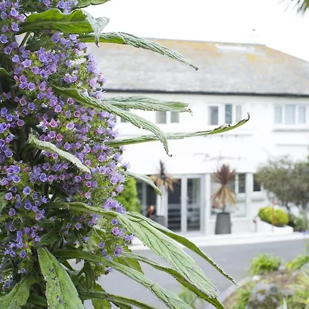 Boskerris St Ives (Cornwall)